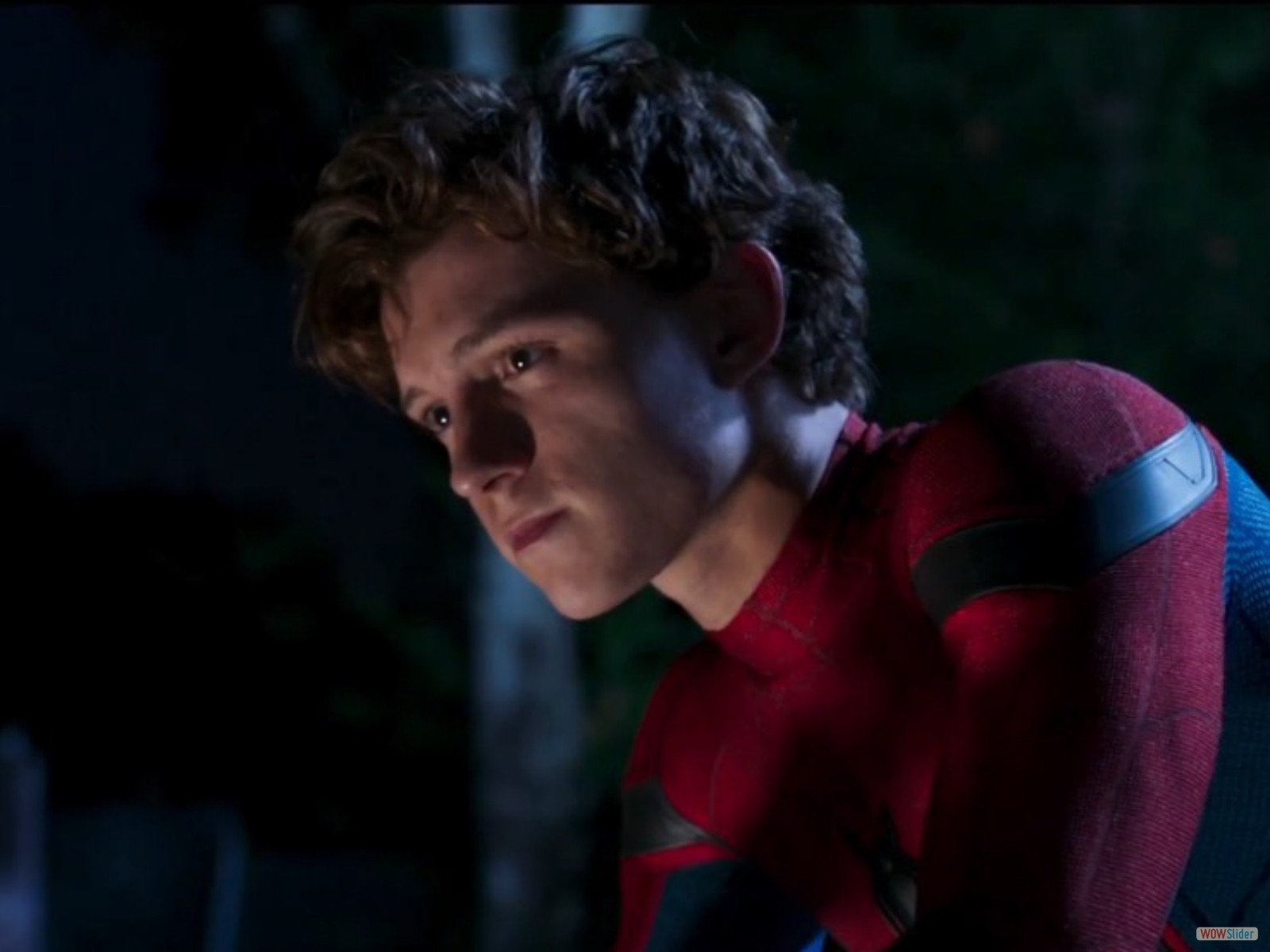 Spiderman 05