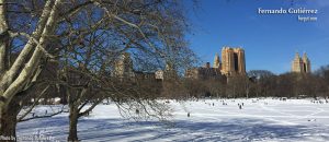 Central Park, New York 2016